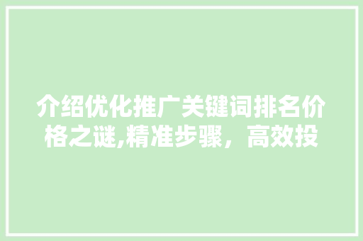 介绍优化推广关键词排名价格之谜,精准步骤，高效投入
