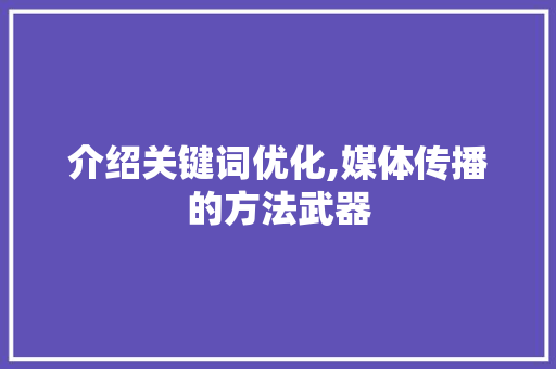 介绍关键词优化,媒体传播的方法武器