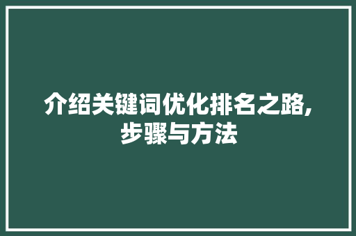 介绍关键词优化排名之路,步骤与方法 前端技术