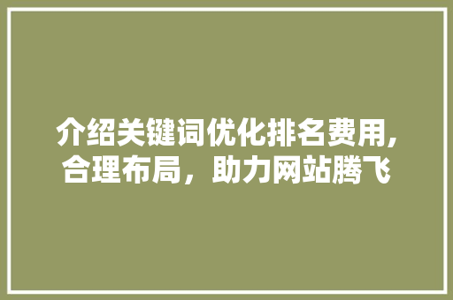 介绍关键词优化排名费用,合理布局，助力网站腾飞