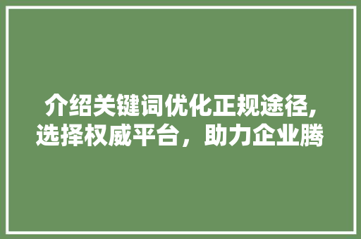 介绍关键词优化正规途径,选择权威平台，助力企业腾飞