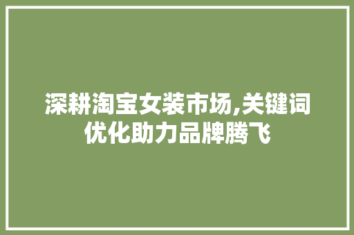 深耕淘宝女装市场,关键词优化助力品牌腾飞