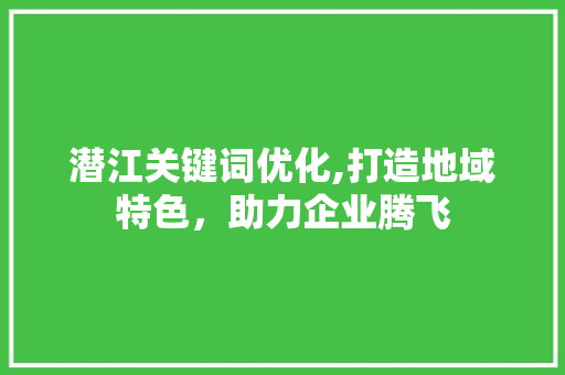 潜江关键词优化,打造地域特色，助力企业腾飞