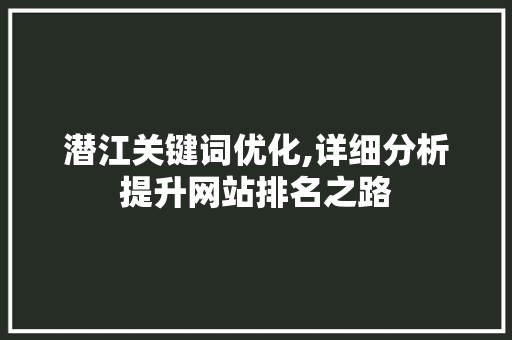 潜江关键词优化,详细分析提升网站排名之路