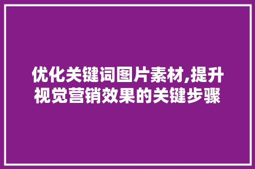 优化关键词图片素材,提升视觉营销效果的关键步骤