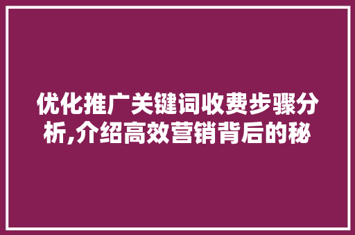 优化推广关键词收费步骤分析,介绍高效营销背后的秘密