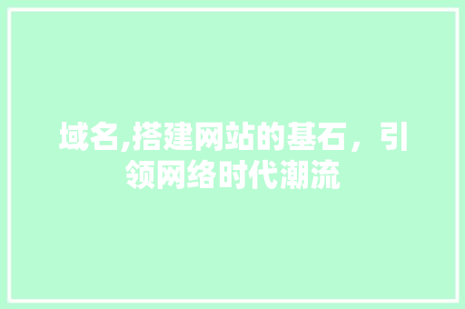 域名,搭建网站的基石，引领网络时代潮流 网站建设