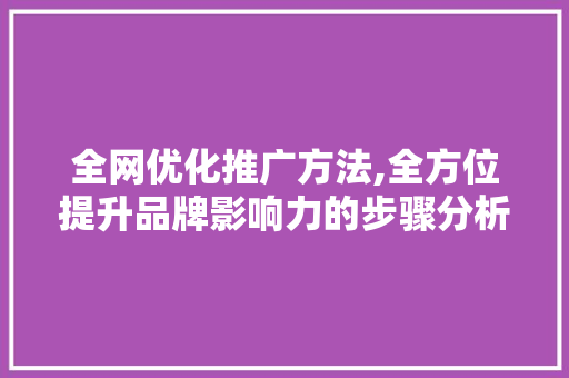 全网优化推广方法,全方位提升品牌影响力的步骤分析