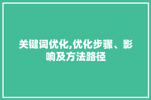关键词优化,优化步骤、影响及方法路径
