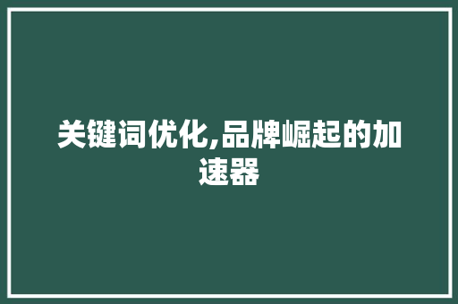 关键词优化,品牌崛起的加速器