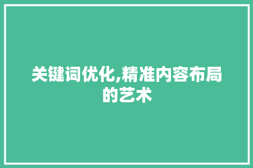 关键词优化,精准内容布局的艺术