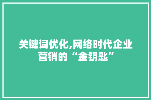 关键词优化,网络时代企业营销的“金钥匙”