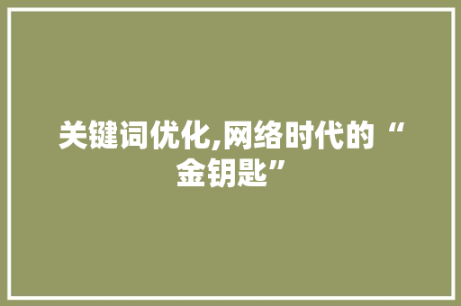 关键词优化,网络时代的“金钥匙”