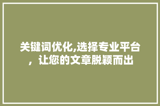 关键词优化,选择专业平台，让您的文章脱颖而出