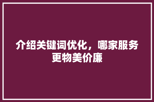 介绍关键词优化，哪家服务更物美价廉 前端技术