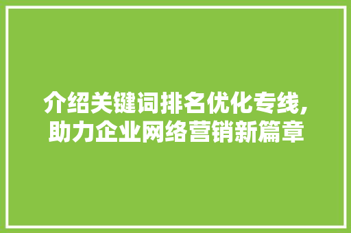 介绍关键词排名优化专线,助力企业网络营销新篇章