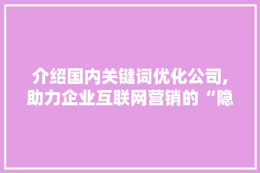 介绍国内关键词优化公司,助力企业互联网营销的“隐形推手”