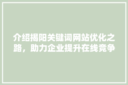 介绍揭阳关键词网站优化之路，助力企业提升在线竞争力 网站建设