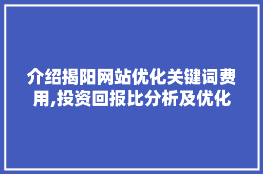 介绍揭阳网站优化关键词费用,投资回报比分析及优化步骤