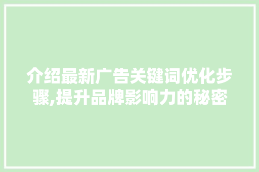介绍最新广告关键词优化步骤,提升品牌影响力的秘密武器 项目报告