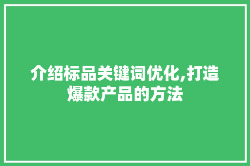 介绍标品关键词优化,打造爆款产品的方法