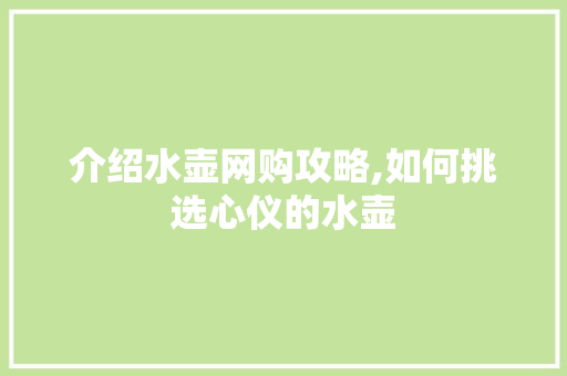 介绍水壶网购攻略,如何挑选心仪的水壶 市场营销范文