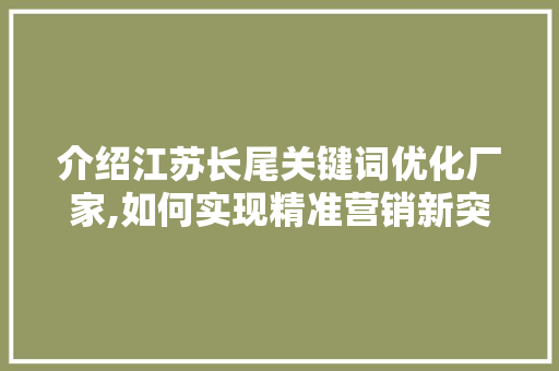 介绍江苏长尾关键词优化厂家,如何实现精准营销新突破