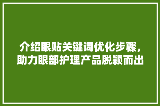 介绍眼贴关键词优化步骤，助力眼部护理产品脱颖而出 后端技术