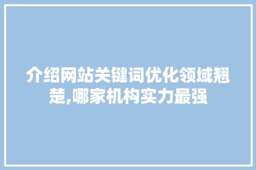 介绍网站关键词优化领域翘楚,哪家机构实力最强