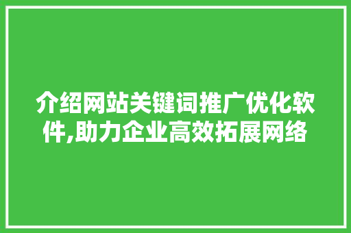 介绍网站关键词推广优化软件,助力企业高效拓展网络市场
