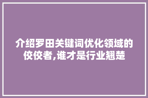 介绍罗田关键词优化领域的佼佼者,谁才是行业翘楚