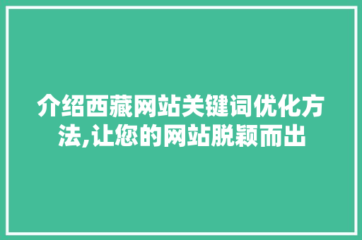 介绍西藏网站关键词优化方法,让您的网站脱颖而出