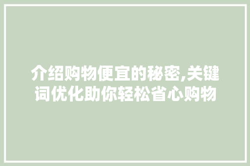 介绍购物便宜的秘密,关键词优化助你轻松省心购物