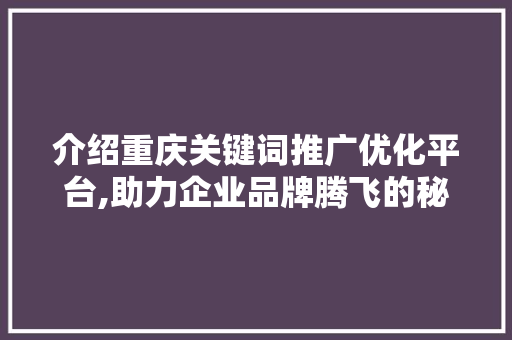 介绍重庆关键词推广优化平台,助力企业品牌腾飞的秘密武器