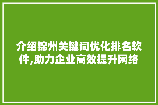 介绍锦州关键词优化排名软件,助力企业高效提升网络曝光度