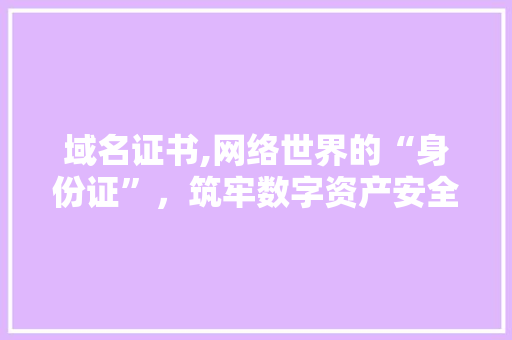 域名证书,网络世界的“身份证”，筑牢数字资产安全防线 项目报告