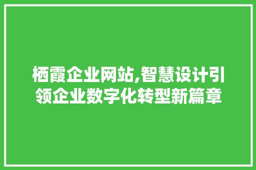 栖霞企业网站,智慧设计引领企业数字化转型新篇章