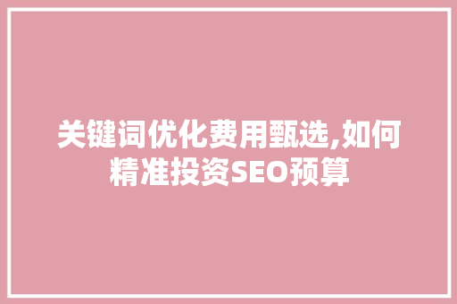 关键词优化费用甄选,如何精准投资SEO预算