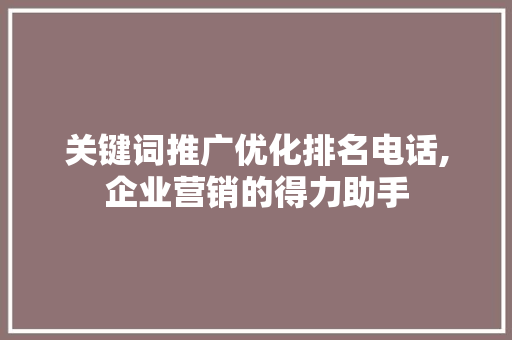 关键词推广优化排名电话,企业营销的得力助手