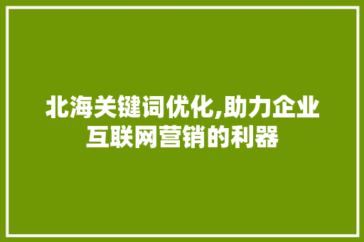 北海关键词优化,助力企业互联网营销的利器 项目报告