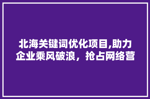 北海关键词优化项目,助力企业乘风破浪，抢占网络营销高地