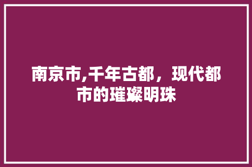 南京市,千年古都，现代都市的璀璨明珠