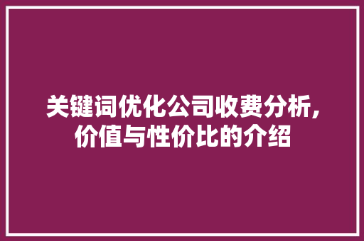 关键词优化公司收费分析,价值与性价比的介绍