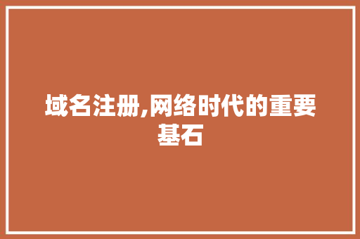 域名注册,网络时代的重要基石 网站建设