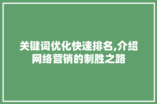 关键词优化快速排名,介绍网络营销的制胜之路