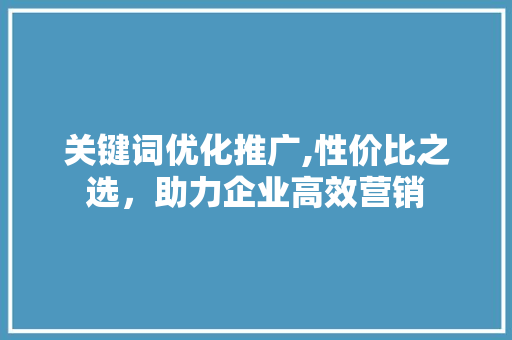 关键词优化推广,性价比之选，助力企业高效营销