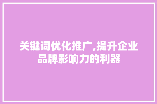 关键词优化推广,提升企业品牌影响力的利器