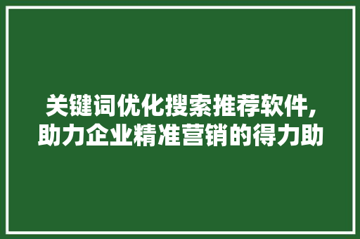 关键词优化搜索推荐软件,助力企业精准营销的得力助手