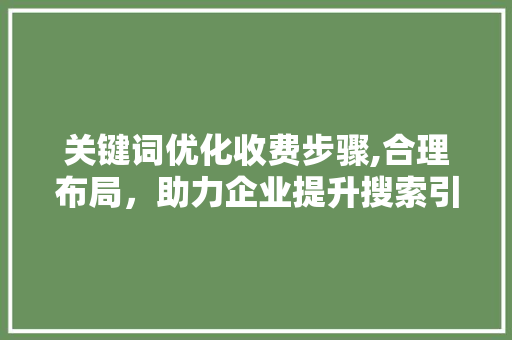 关键词优化收费步骤,合理布局，助力企业提升搜索引擎排名 MySQL