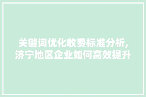 关键词优化收费标准分析,济宁地区企业如何高效提升SEO效果
